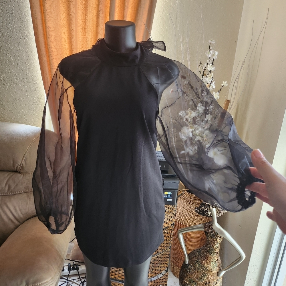 Zara Dress Sheer Puff Long Sleeves Bow Tie Size M - Picture 4 of 6